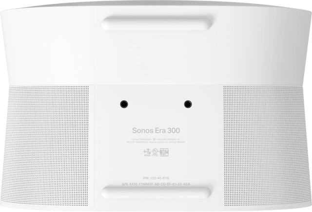Sonos Era 300 Wireless Powered Speaker