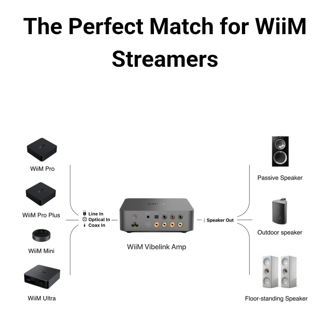 WiiM Vibelink Amp