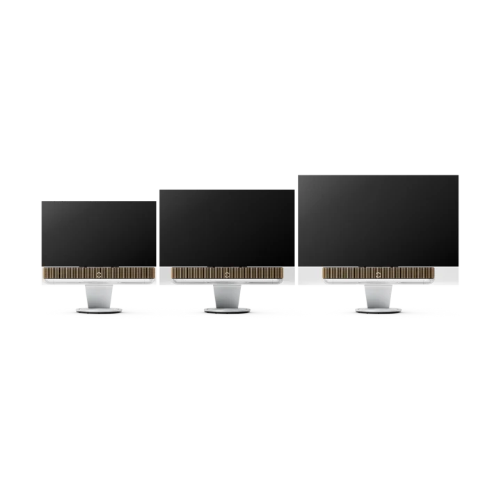 Bang and Olufsen Beosound Theatre