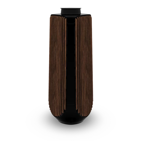 Bang & Olufsen Beolab 50 - Wireless Speaker Package (Pair)