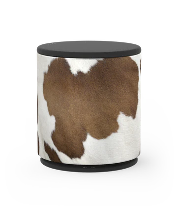 Bang & Olufsen Beoplay M5 Covers