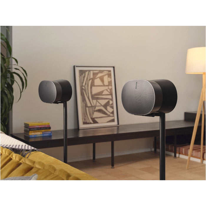 Sonos Era 300 Wireless Powered Speaker – Sollfege.com - Premium