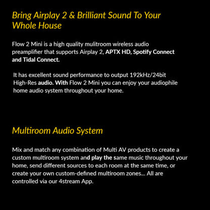 Multi AV Flow 2 Mini Hi Res Streamers