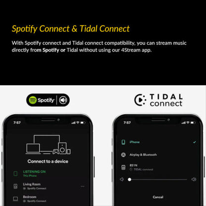 Multi AV Flow 2 Mini Hi Res Streamers