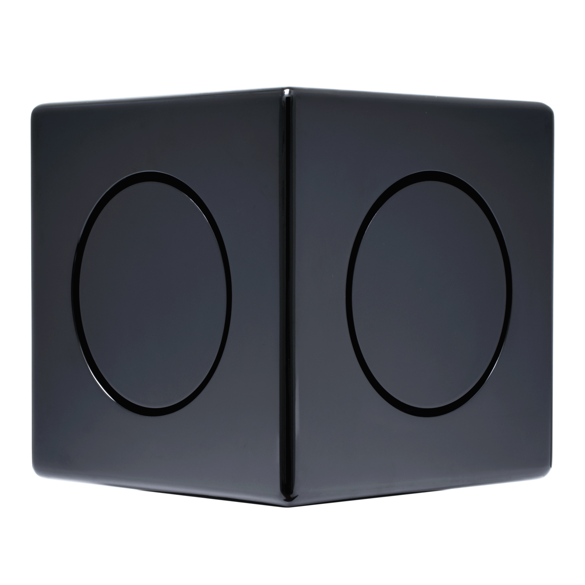 EARTHQUAKE MiniMe DSP P63B Subwoofer