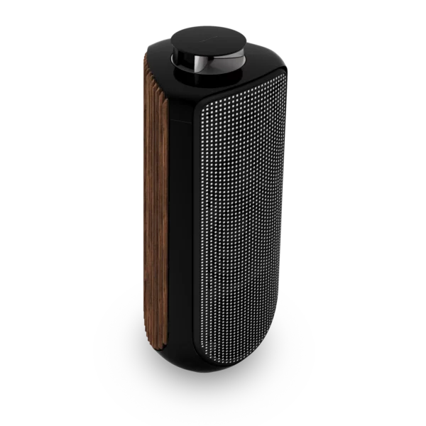 Bang & Olufsen Beolab 50 - Wireless Speaker Package (Pair)