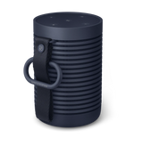 Bang & Olufsen Beosound Explore Portable Bluetooth Speaker